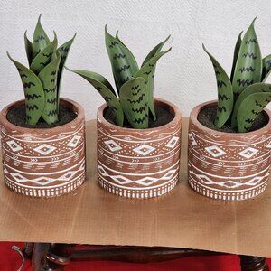 Faux Plants in Terracotta Tribal Print Faux Cement Pots Set of 3 4"Wx9"H
